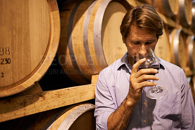 Buy stock photo Shot of a handsome mature man standing in a wine cellar with a glass of red wine