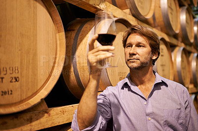 Buy stock photo Wine, tasting and a man in the cellar of a distillery on a farm for the production or fermentation of alcohol. Glass, industry and barrel with a male farmer drinking a beverage for quality control