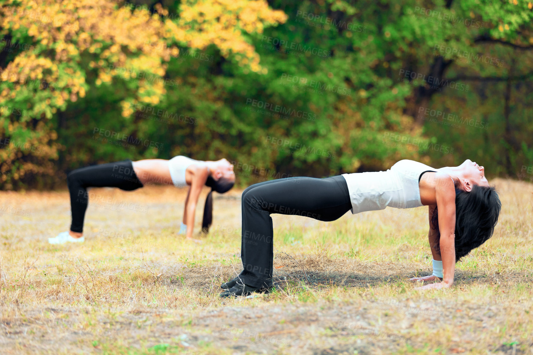 Buy stock photo Women, exercise stretching and workout in a outdoor park for yoga and fitness. Health, wellness and balance of female friends in nature on grass feeling happy and relax from body care and sport