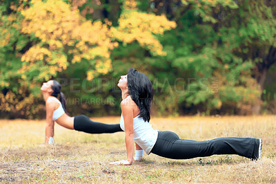 Buy stock photo Women, yoga stretching and training in a outdoor park for exercise and fitness. Health, wellness and sports stretch start of female friends in nature on grass feeling calm from body care to relax