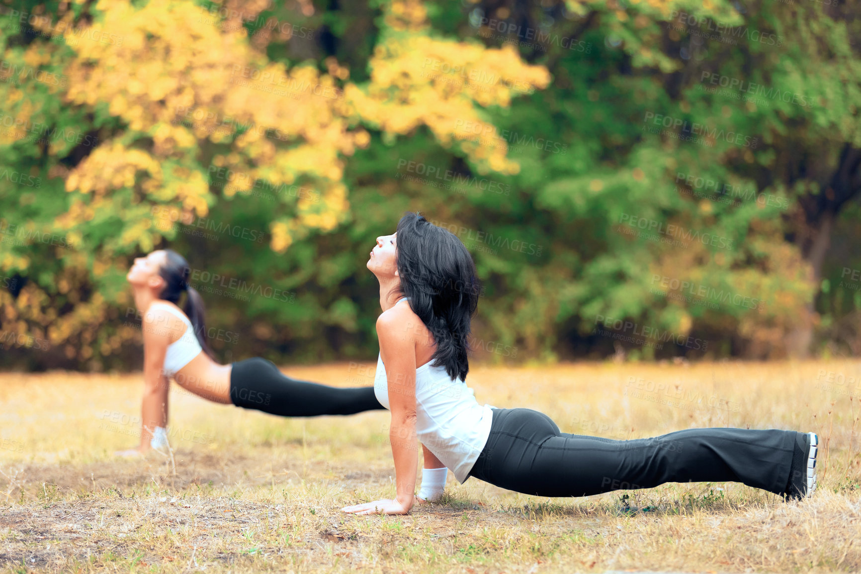 Buy stock photo Women, yoga stretching and training in a outdoor park for exercise and fitness. Health, wellness and sports stretch start of female friends in nature on grass feeling calm from body care to relax