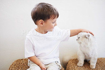 Buy stock photo Child, boy and happiness with kitten for pet, best friend and bonding with cuddle or care in living room of home. Toddler, kid and face with animal, cat and friendship in lounge of house or apartment