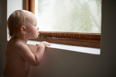 Buy stock photo A baby girl looking out the window