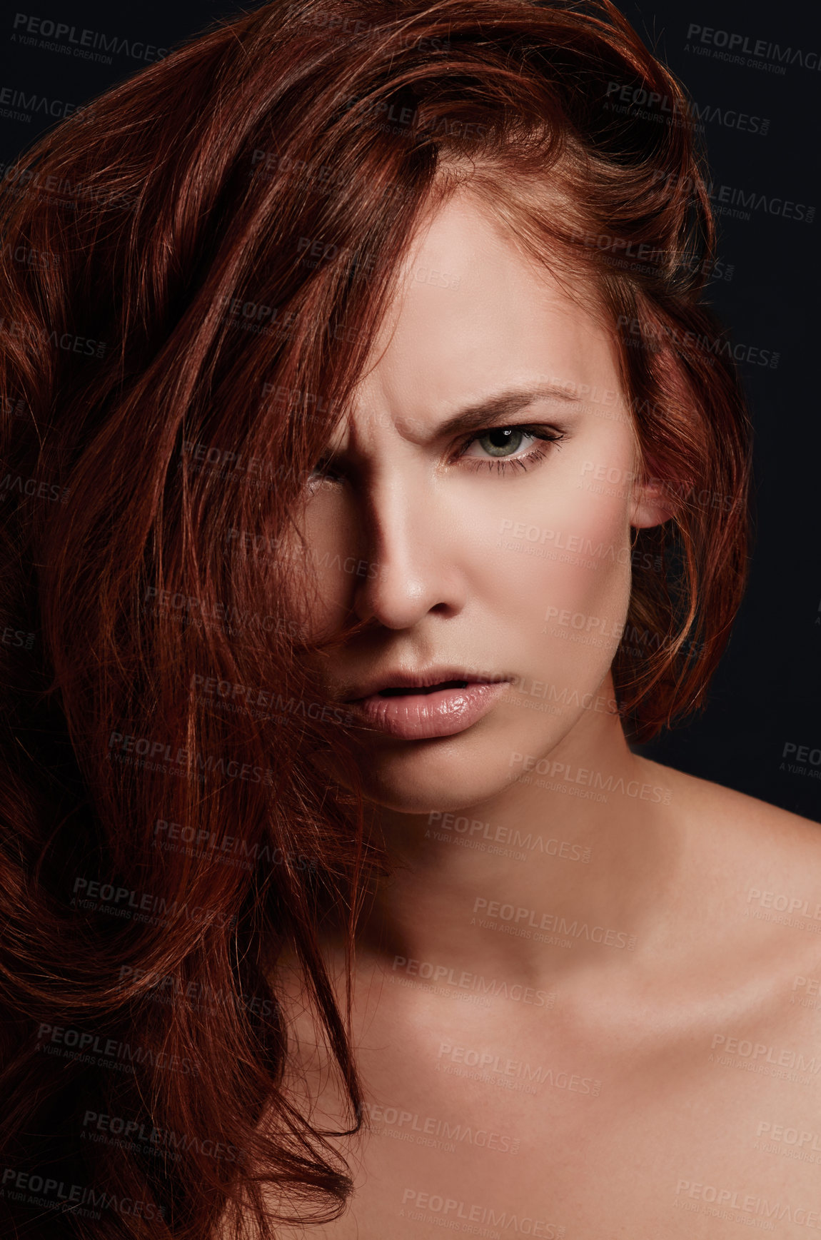 Buy stock photo Hair, fail and portrait of angry woman in studio with hair loss, damage or split end crisis on black background. Frustrated, face and female beauty model annoyed by alopecia, dandruff or bad results