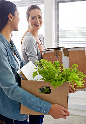Buy stock photo Coworker, women and moving in with plant in box at office with smile, decoration for start up business. Workspace, company and joy in happiness with new beginning for positivity at work.



