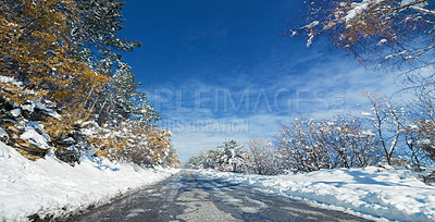 Buy stock photo Snow, forest and road or winter landscape or environment explore with cold weather as nature, outdoor or freezing. Woods, trees and path in Swiss Alps or adventure vacation or abroad, blue sky or ice