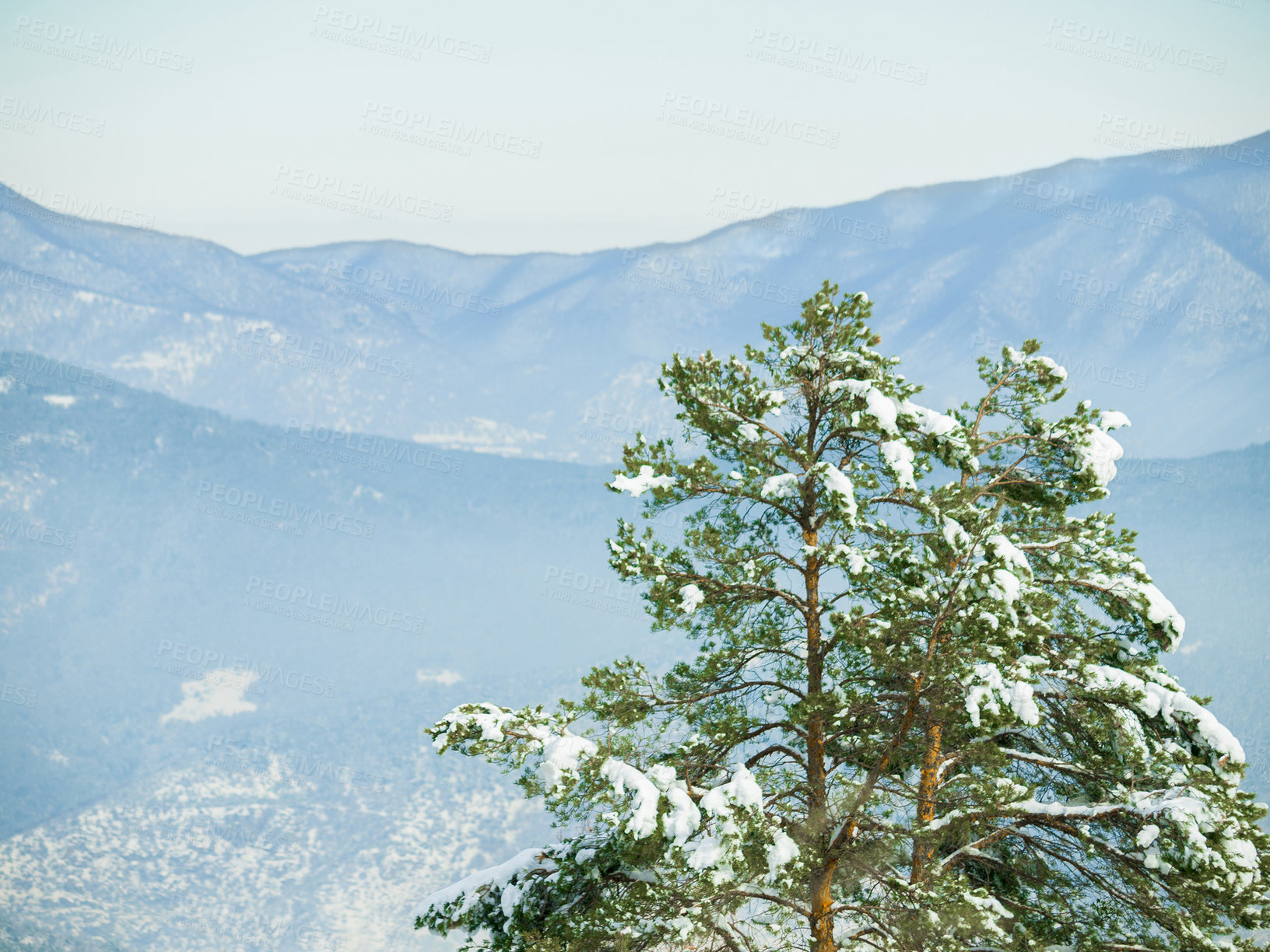 Buy stock photo Snow, trees and winter or mountain nature for trekking adventure in cold weather, environment or freezing. Woods, hill and Swiss Alps in forest landscape for outdoor exploring or ice, frost or travel