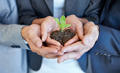 Buy stock photo Hands, team and business with seedling, growth and together with support, helping hand and sustainable in office. Group, people and plant with soil, solidarity and environmental teamwork at startup