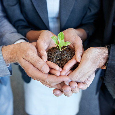 Buy stock photo Hands, business people or group with seedling, plant or together for support, helping hand and trust in office. Men, women and sustainable startup with soil, solidarity and teamwork for development