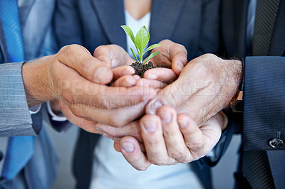 Buy stock photo Closeup, staff and hands with a plant, employees and seedling with business growth, hope or investment. Zoom, group or people with sustainability, eco friendly or agriculture with development or goal