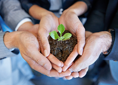 Buy stock photo A young plant being held by a business professional