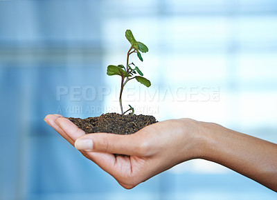Buy stock photo Person, hand and soil with plant for nature growth or future sustainability as earth day, climate change or non profit. Fingers, dirt and leaf for ecosystem gardening for agriculture, care or planet