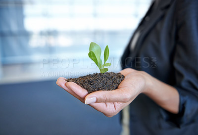 Buy stock photo Person, hand and soil with plant for environment or future sustainability, climate change or non profit. Fingers, dirt and leaf for development or business growth for startup, investment or nature