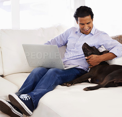 Buy stock photo A handsome young man petting his dog while working on a laptop at home