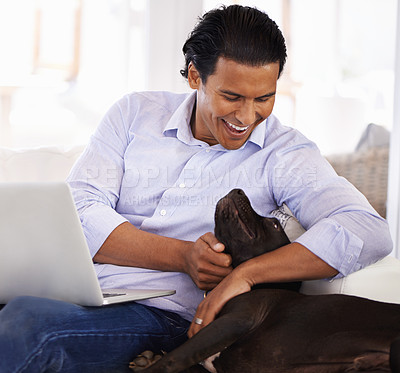 Buy stock photo Man, dog and smile with laptop on sofa for bonding, playing or happiness with remote work in home. Animal, person and cuddle with face on couch in living room for research, comfort and love for puppy
