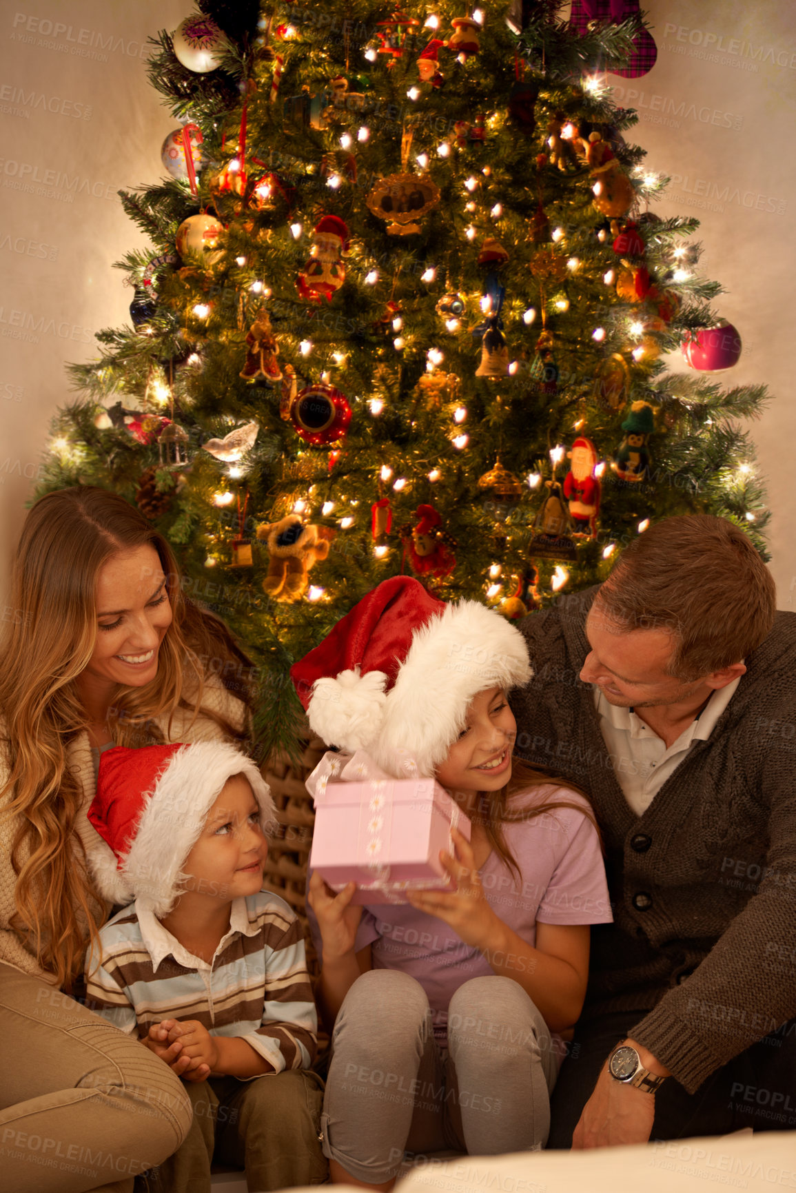 Buy stock photo Christmas, tree and family with gift box, celebration together or lights for happy surprise at night. Father, mother and children smile in living room for present giving, festive xmas or love in home