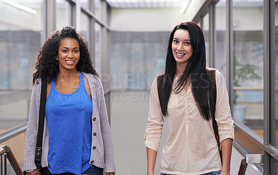 Buy stock photo Portrait of two attractive young university students
