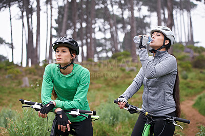 Buy stock photo Woman, friends and drinking water in nature with bicycle for cycling, fitness or break on off road trail or path. Thirsty female person or cyclist with beverage in forest or rest for outdoor workout