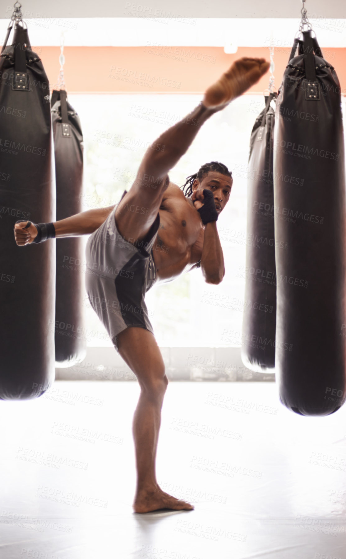 Buy stock photo Men, coach and mixed martial arts with training fight, gloves and punch pad for fitness in gym. People, combat and action for mma, boxing or hands for power, workout and exercise for competition