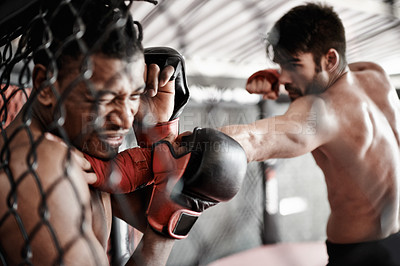 Buy stock photo Punch, pain and men in cage for kickboxing competition, challenge and fitness with fight sports in gym. Boxing match, strong fighter and sparring with exercise, practice and power in battle together.