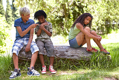 Buy stock photo Nature, bullying and boys with girl in outdoor field, woods or forest laughing and teasing. Rude, upset and cruel young children sitting on tree trunk in garden on vacation, holiday or weekend trip.