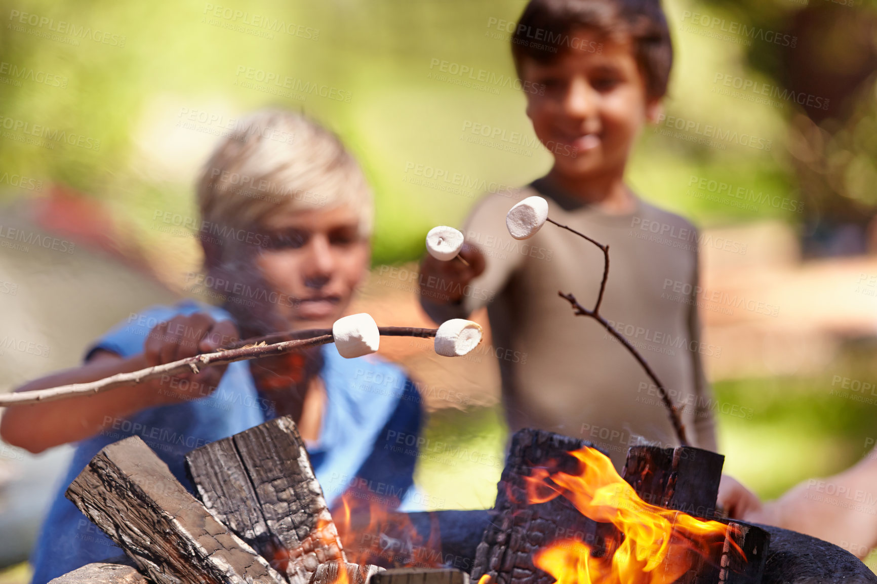 Buy stock photo Fire, marshmallow and boy kids in nature for camping, learning or fun bonding in a park together. Bonfire, family or children in a forest for candy puff roast, cooking or campfire tradition in woods