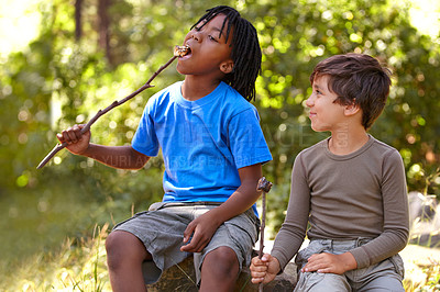 Buy stock photo Children enjoying roasting marshmallows at summer camp
