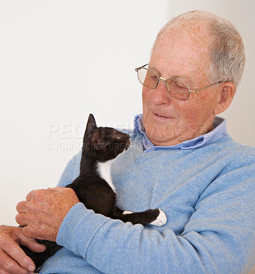 Buy stock photo Happy, home and old man with a cat, bonding and love with joy and caring with support and smile. Pensioner, apartment and elderly guy with animal and playing with a pet and relaxing in a living room