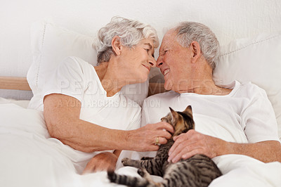 Buy stock photo Senior couple, bed and cat for bonding, embrace and love in morning for smile and cuddle. Mature man, woman and kitty pet, happy and retirement to enjoy marriage and old people in bedroom at home
