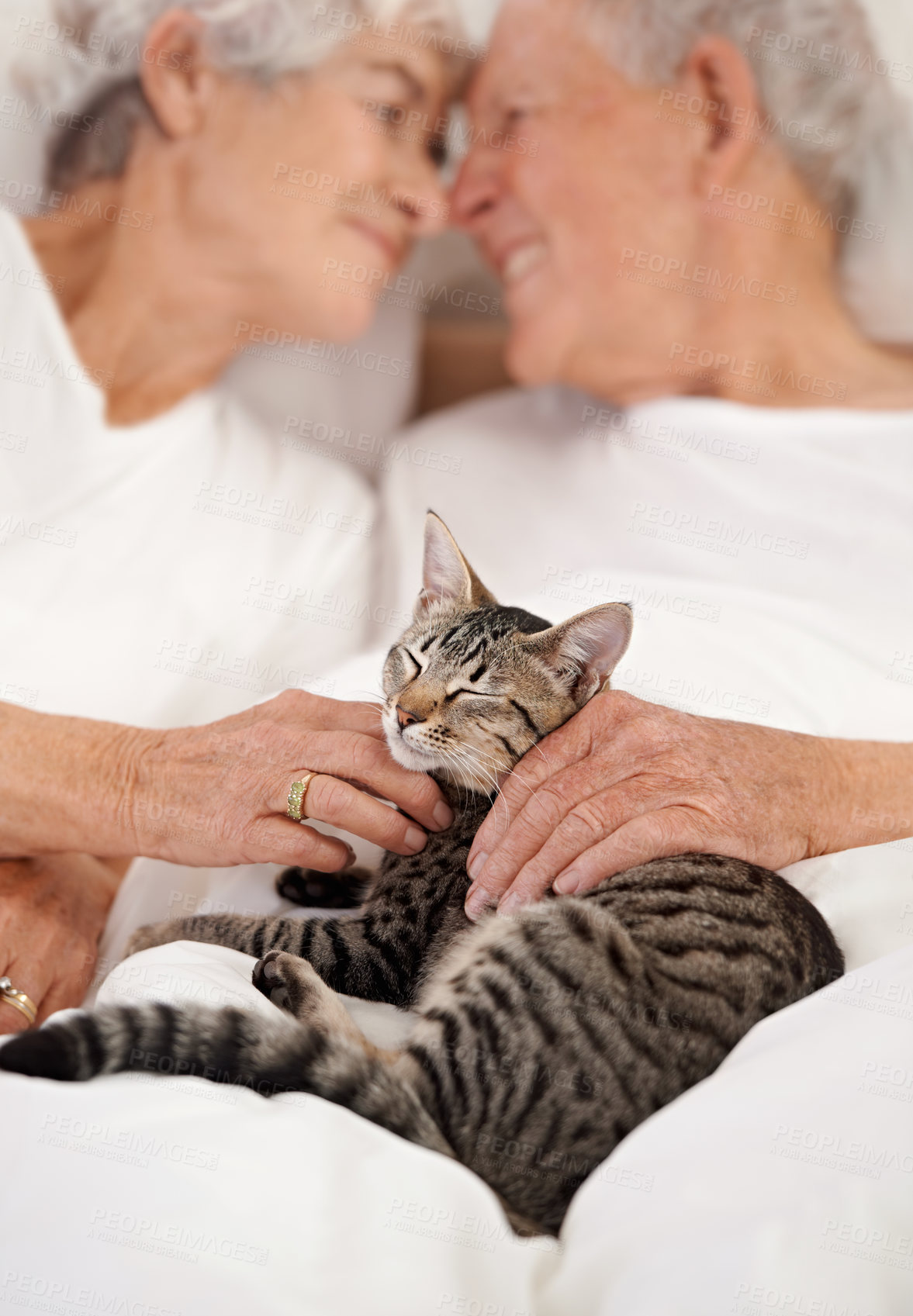 Buy stock photo Senior couple, bedroom and cat for bonding, embrace and love in morning for smile and cuddle. Mature man, woman and kitty pet, happy and retirement to enjoy marriage and old people in bed at home