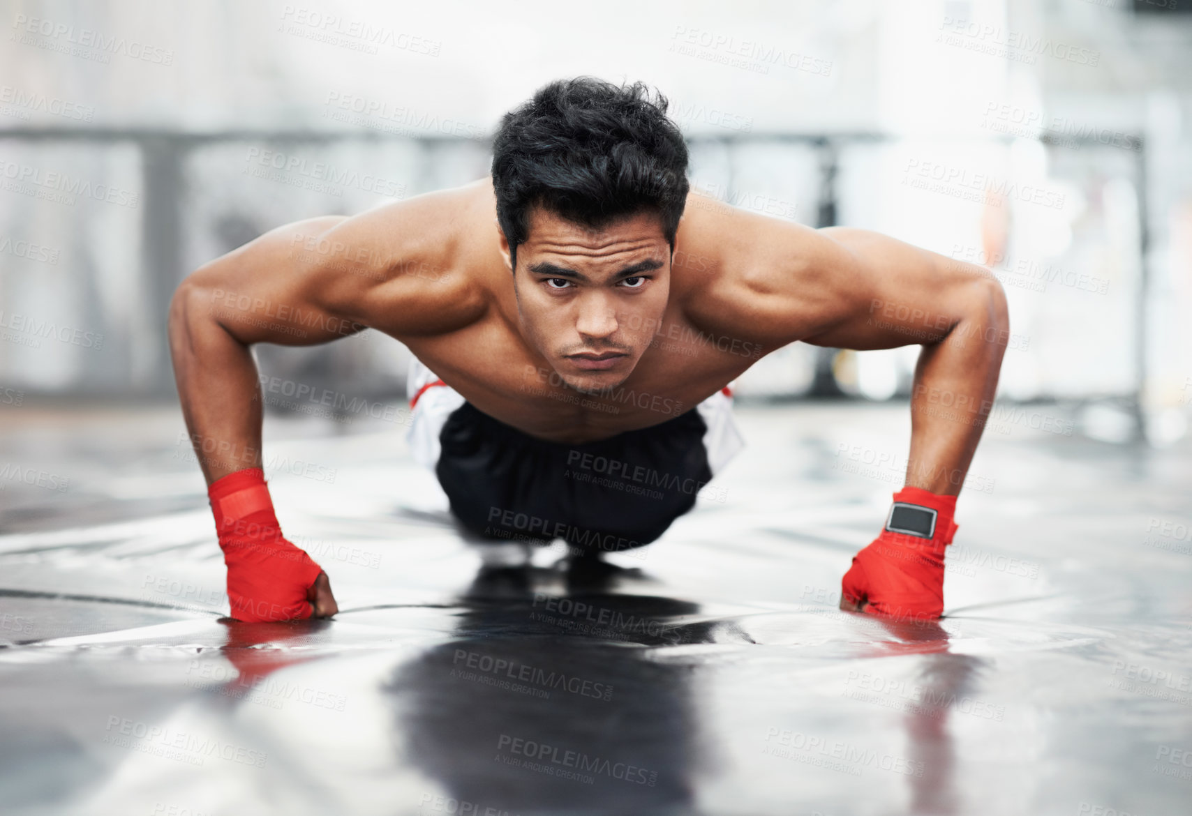Buy stock photo Fighter, portrait and push ups for sports in gym for training, wellness and workout for body. Man, exercise and gloves on fists, muscle and health for person in fitness centre, strong and serious