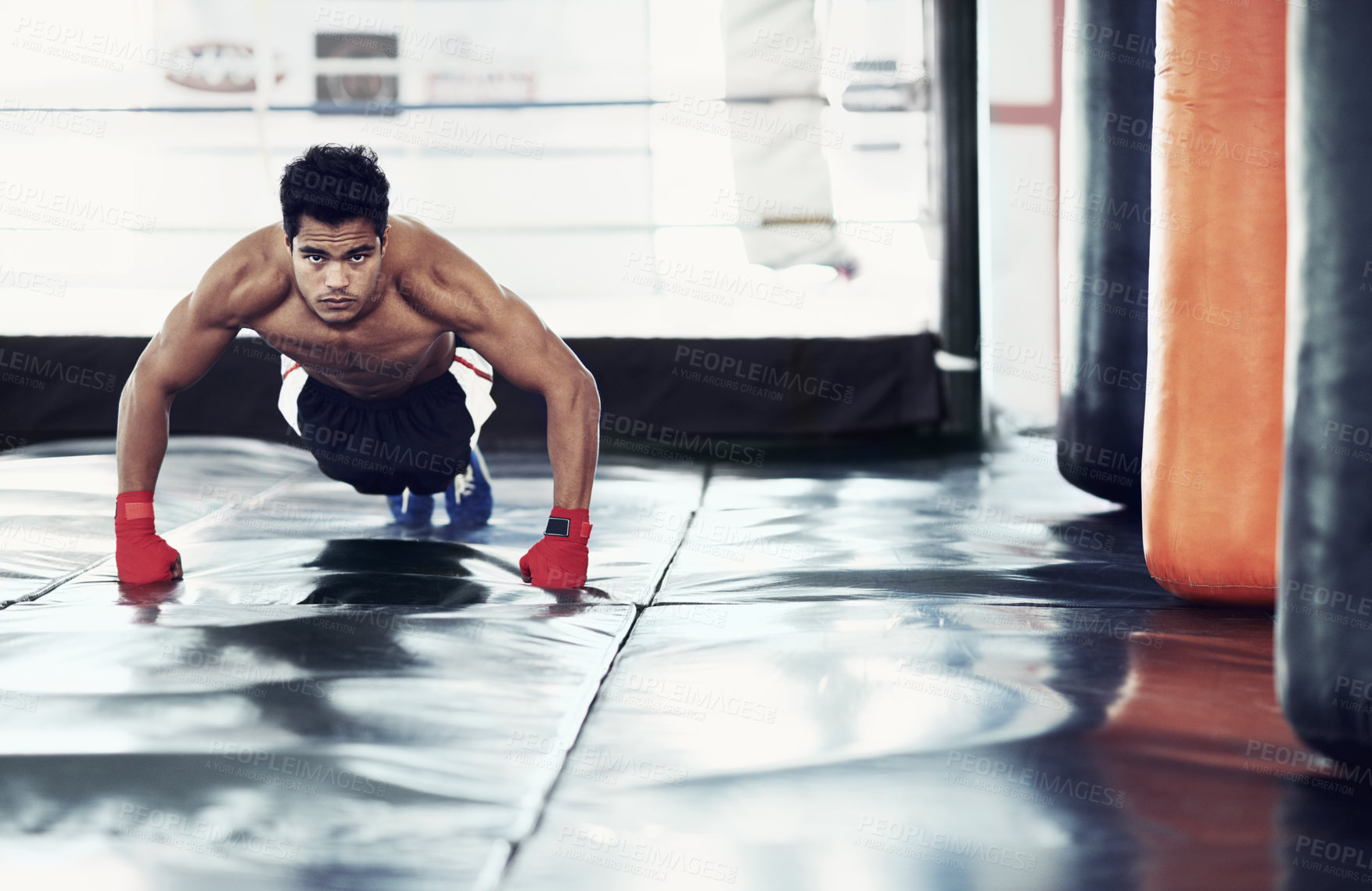 Buy stock photo Athlete, portrait and push ups for sports in gym for training, wellness and workout for body. Man, exercise and gloves on hands, muscle and health for person in fitness centre, strong and serious