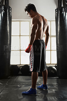 Buy stock photo Fitness, man and gloves in gym with punching bag for exercise, sports and training for competition. Male person, back view and boxing with Muay Thai for fighting, performance and skill at club studio