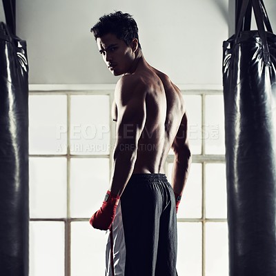 Buy stock photo Portrait of a handsome young boxer standing in the gym