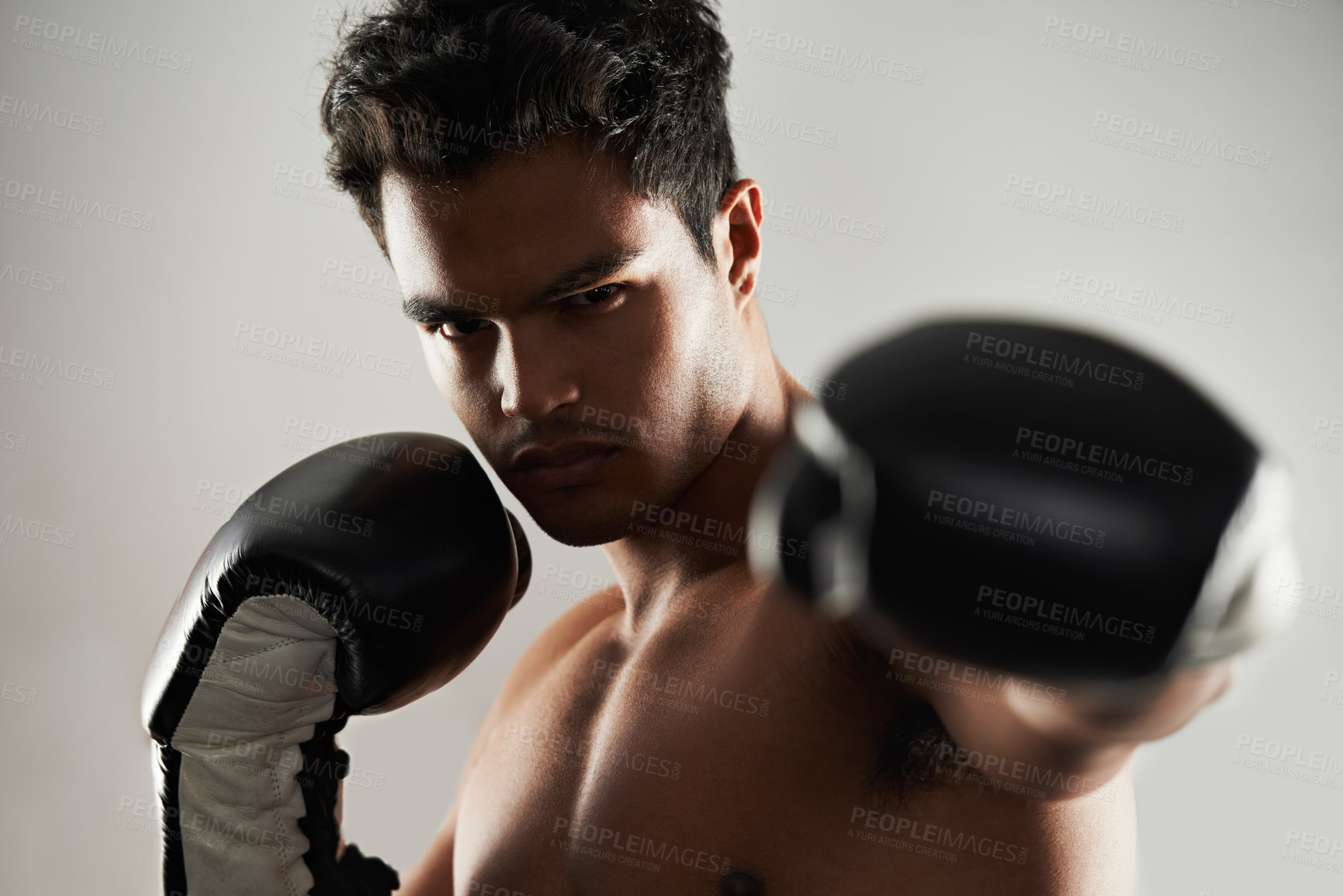 Buy stock photo Man, serious and portrait with boxing gloves in studio for self defense, mma and combat. Male person, fighter and personal trainer for physical sport with commitment, focus and strong for activity