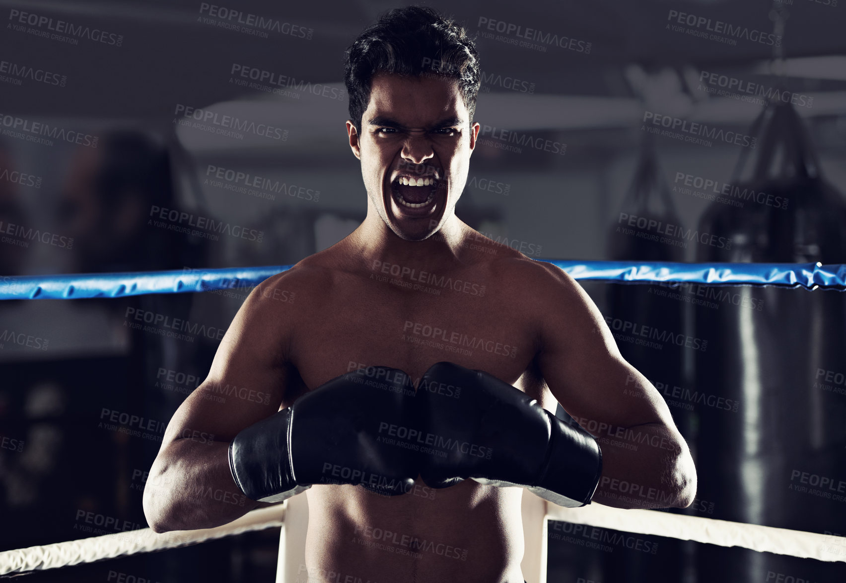 Buy stock photo Boxer, man and gym with shout, boxing ring and scream for workout or training. Person, exercise and fitness for health, wellness and confidence for winning with discipline for professional fight