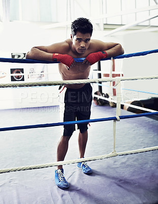 Buy stock photo Boxer, man and portrait in boxing ring for training, workout and relax for performance with rest and fitness. Professional fighter, athlete or exercise for competition, match or sport with confidence