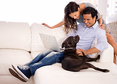 Buy stock photo A couple sitting together on the sofa with a laptop while playing with their dog