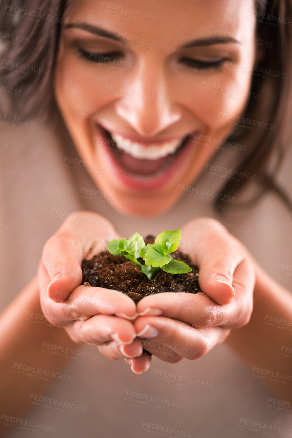 Buy stock photo Cropped shot of a beautiful young woman holding a tiny plant in her hands