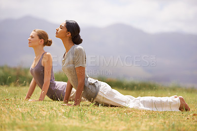 Buy stock photo Woman, friends or yoga on field in nature for spiritual wellness, health or outdoor exercise. Female person or yogi in relax, pilates or cobra pose for zen, balance or training workout on green grass