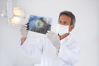 Buy stock photo Cropped shot of a dentist looking at an xray