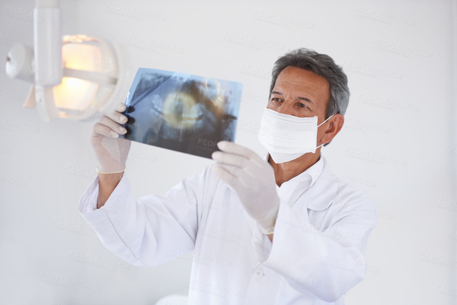 Buy stock photo Senior dentist, man and xray of teeth for dental surgery, healthcare and oral health with face mask in clinic. Medical professional with analysis of scan, radiology and orthodontics with mouth care