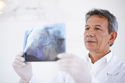 Buy stock photo Senior dentist, man and x ray of teeth for dental surgery, healthcare and oral health with treatment at clinic. Medical professional with analysis of scan, radiology and orthodontics with mouth care