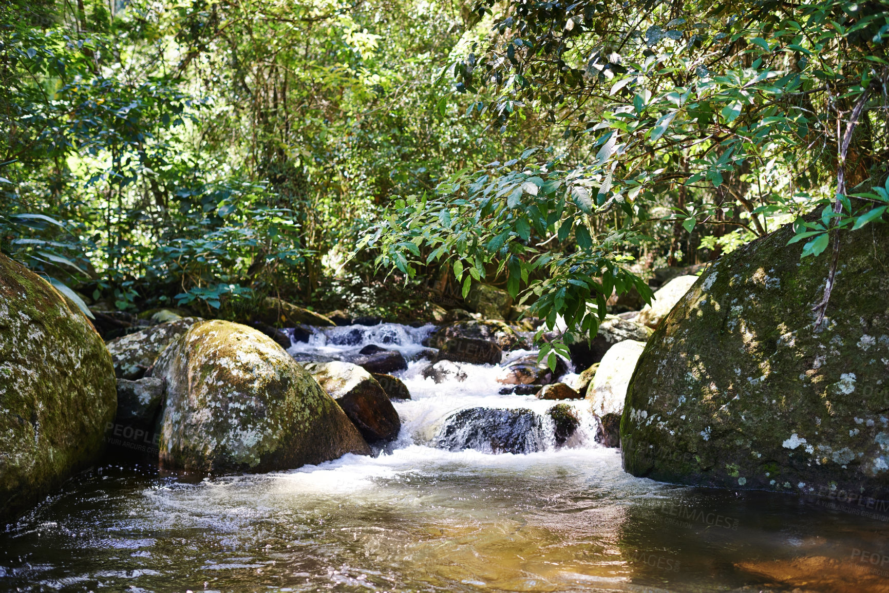 Buy stock photo River, rainforest and rocks on landscape with sunshine, growth and sustainability in summer with trees. Water, leaves and earth in tropical jungle with environment, ecology and nature in Colombia