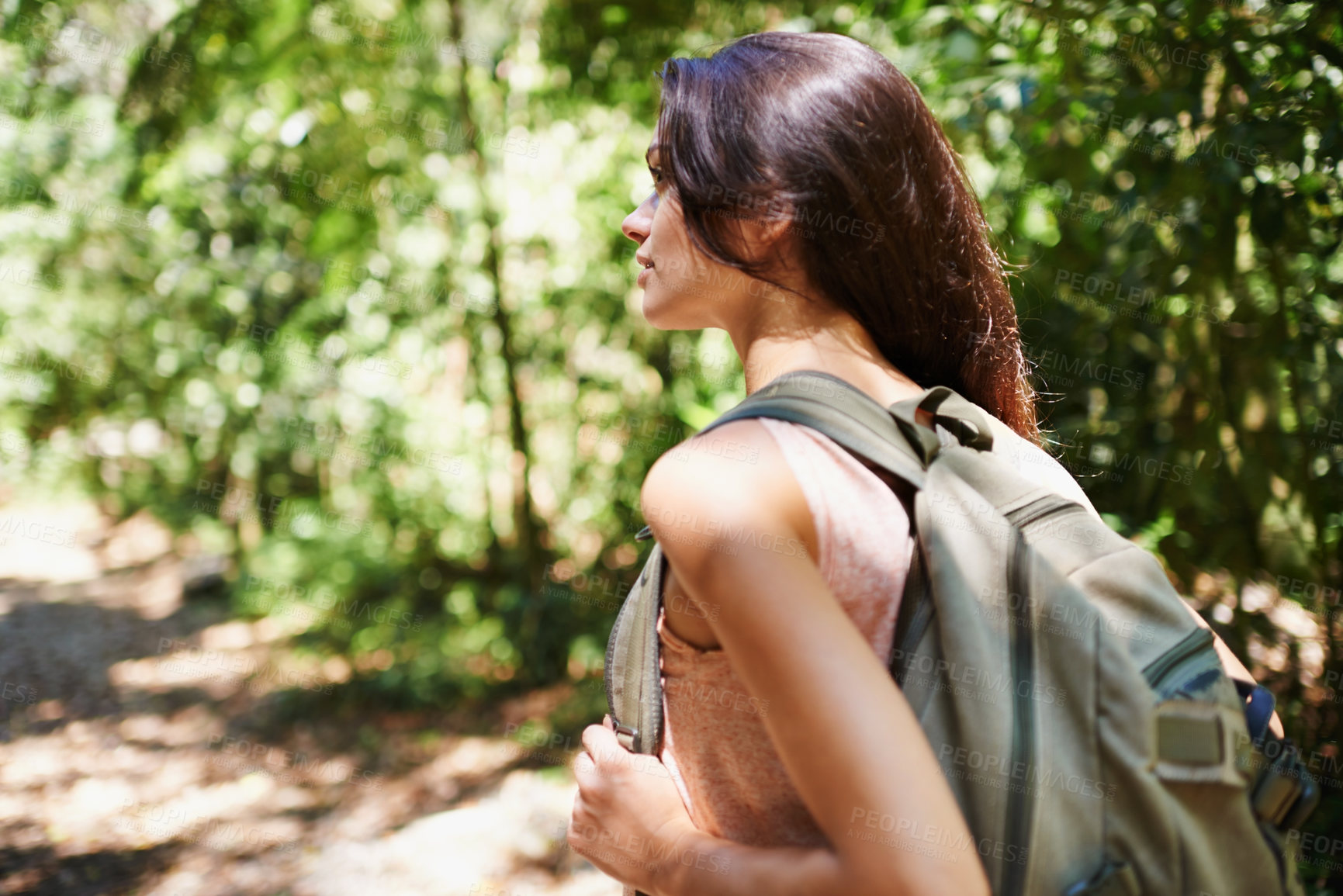 Buy stock photo Hiking, forest or back of woman in nature or wilderness on outdoor trekking adventure alone. Travel, bag or vacation female hiker walking in natural park or woods for exercise or wellness on holiday