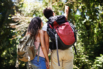 Buy stock photo Hiking, pointing and back of couple in nature for adventure, love and explore outdoors. Forest, travel and man and woman with view on holiday, vacation and trekking for wellness, fitness or health