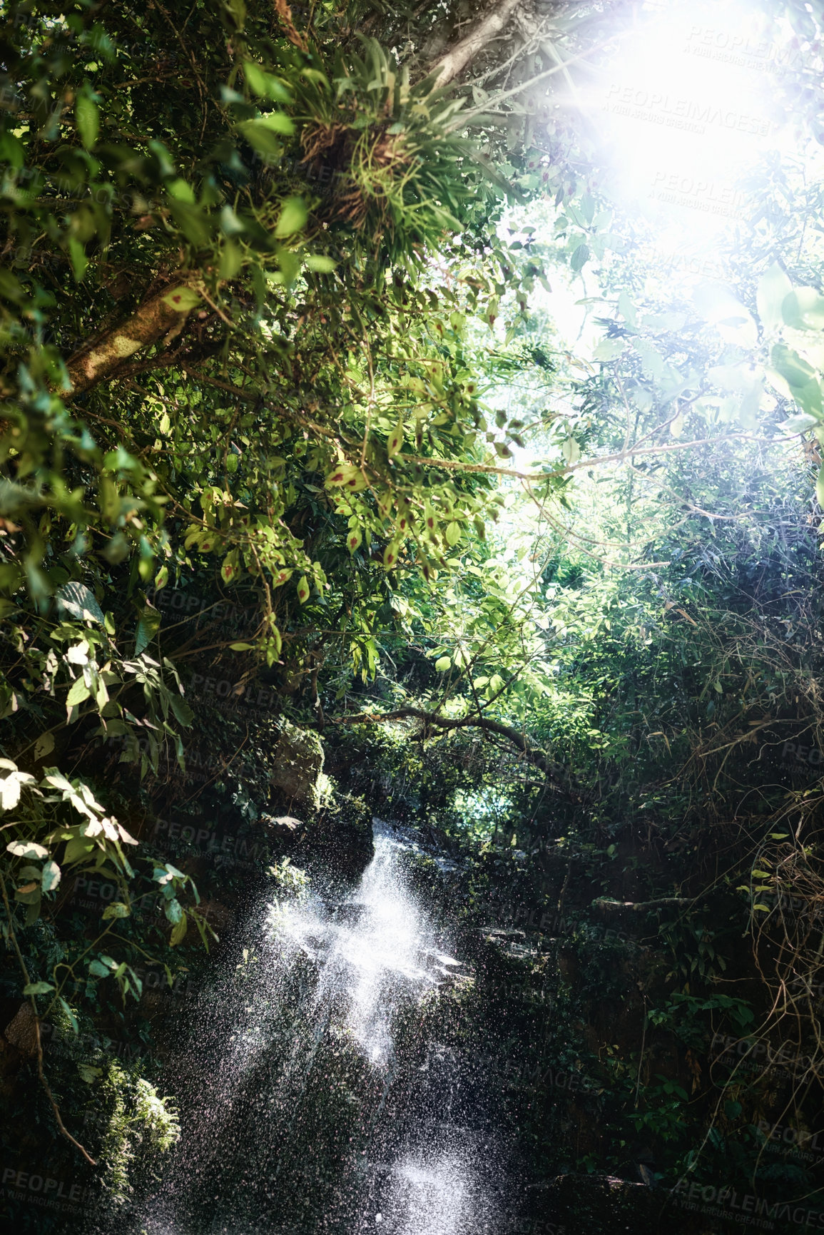 Buy stock photo Waterfall, rainforest and trees on landscape with sunshine, growth and sustainability in summer with rocks. River, leaves and earth in tropical jungle with environment, ecology and nature in Colombia