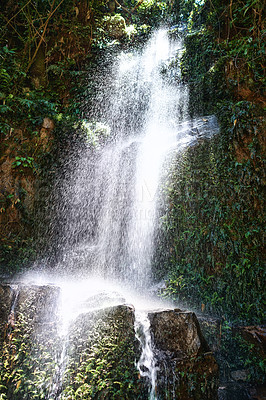 Buy stock photo Waterfall, jungle and trees on landscape in nature, growth and sustainability in summer with rocks. River, leaves and earth in tropical rainforest with environment, ecology and sunshine in Colombia