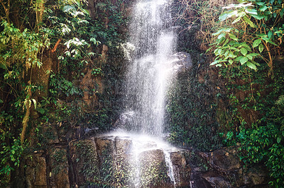Buy stock photo Waterfall, jungle and trees in environment with rocks, growth and sustainability in summer in nature. River, leaves and earth in tropical rainforest with landscape, ecology and sunshine in Colombia