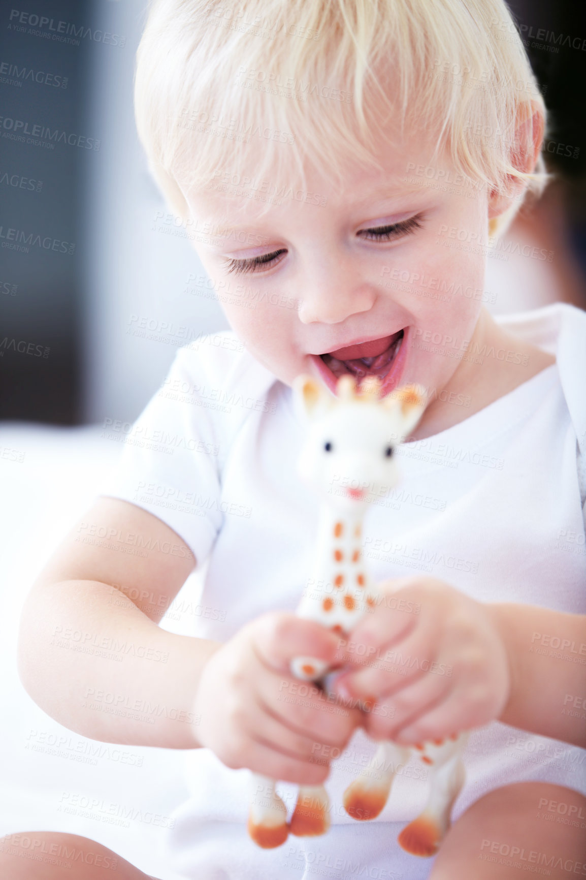 Buy stock photo Shot of a young baby playing with a toy giraffe